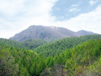 横尾山